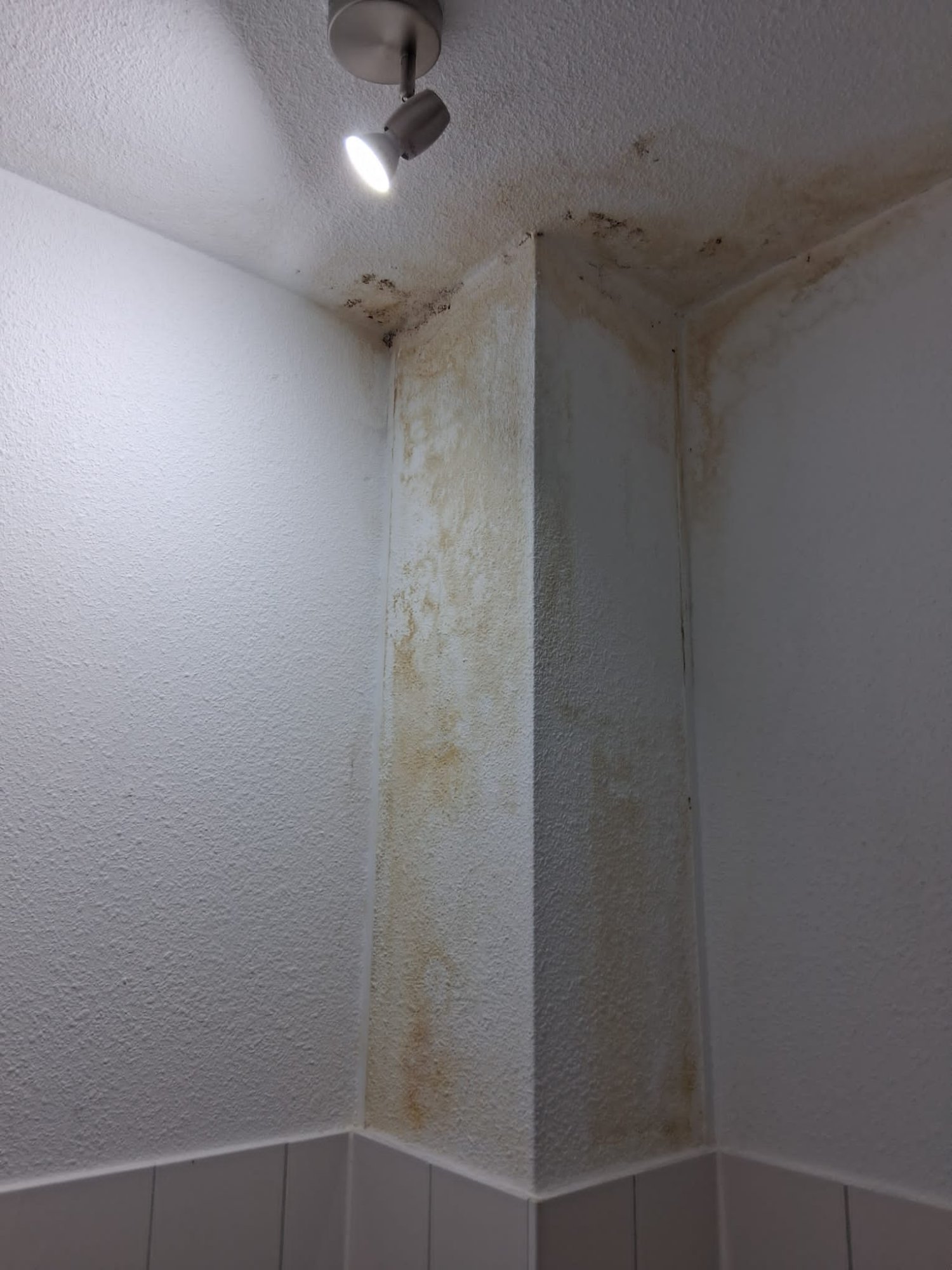 Vochtplek muur plafond verborgen lekkage